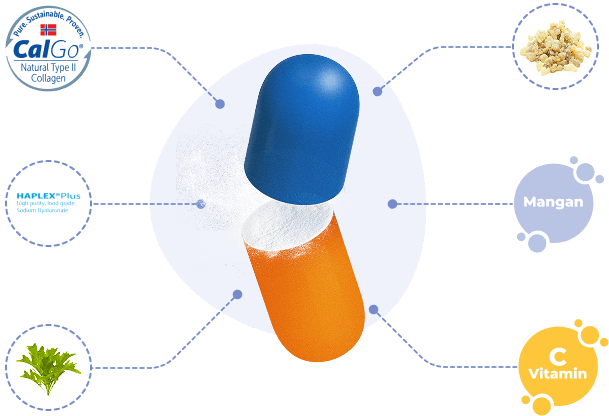Ilustrace Movisan Kolagen II – podpora kloubů, chrupavek a kostí