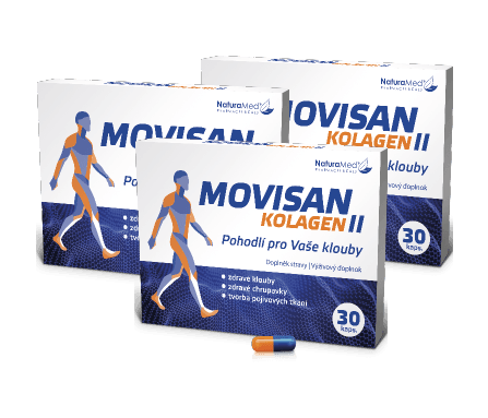 90 kapslí Movisan Kolagen II (3 měsíce)
